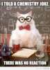 chemistry cat