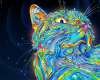 rainbow space cat