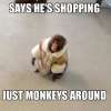 I did not know about Ikea monkey