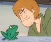 shaggy mad at a frog